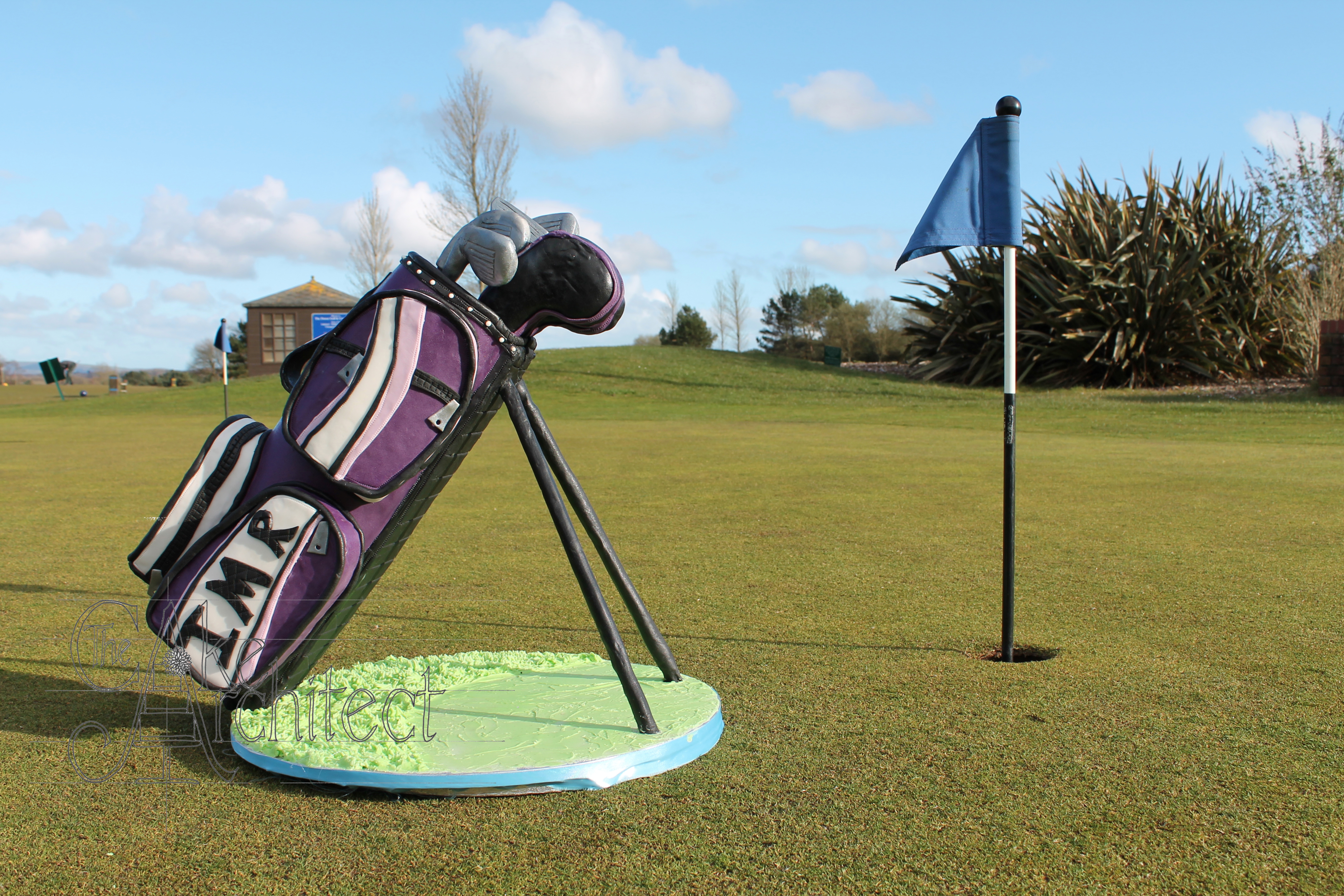 Sculpted Golf Bag Cake